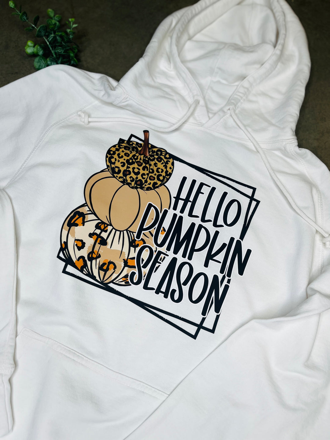 Hello Pumpkin Season Hoodie